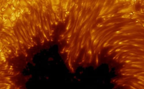 Sunspot Sunspot