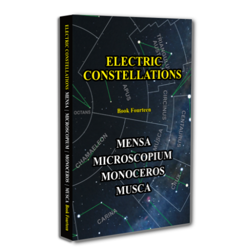 Electric Constellations Book 14